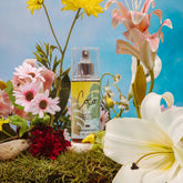 معطر الجسم كوكو سول آند مور